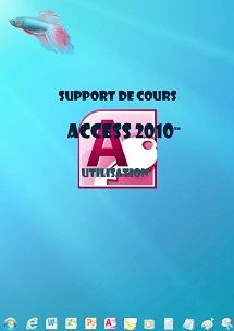 (imagepour) support de cours Access 2010, niveau 1, utilisation