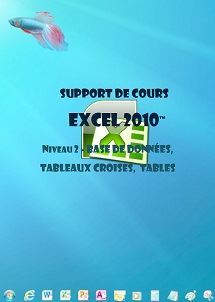 (imagepour) support de cours Excel 2010, tableaux croises, Si, conditionnel.